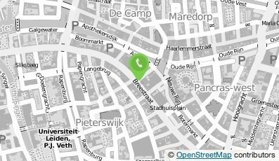 Bekijk kaart van The Sting in Leiden