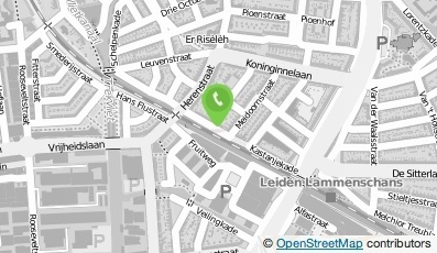 Bekijk kaart van directie4rent B.V.  in Leiden