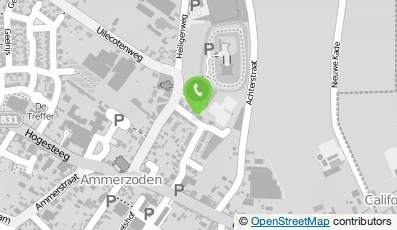 Bekijk kaart van Seize the Day Consultancy  in Ammerzoden