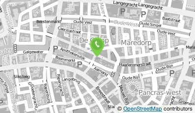 Bekijk kaart van CeX Nederland B.V. in Leiden