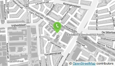 Bekijk kaart van Vervoorn & Wernink Advocaten LLP in Leiden
