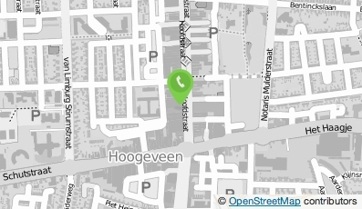 Bekijk kaart van C. Nieuwstad  in Hoogeveen