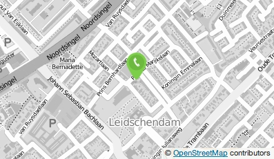 Bekijk kaart van Birchlekdetectie in Leidschendam
