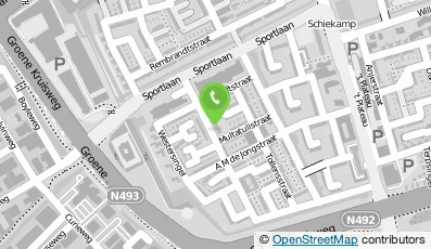 Bekijk kaart van Renovatiebedrijf Daniel in Spijkenisse