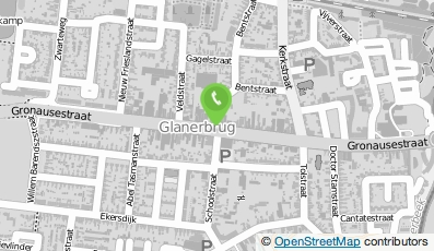 Bekijk kaart van Grillroom Aleyna in Enschede