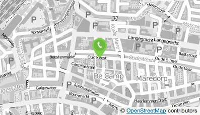 Bekijk kaart van Anna Sophia Verkade in Leiden