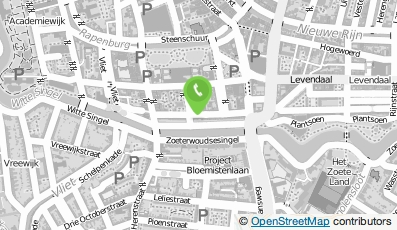 Bekijk kaart van robertjanbrouwer.nl in Leiden