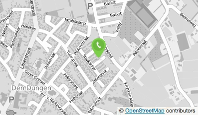 Bekijk kaart van Dak Pro Holland in Den Dungen