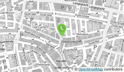 Bekijk kaart van Veronikappers in Leiden