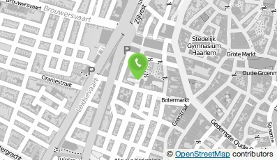 Bekijk kaart van Alchameleon in Leiden