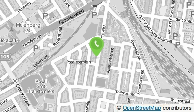 Bekijk kaart van Patricks klusbedrijf in Nijmegen