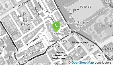Bekijk kaart van Alina Buffiere Studio in Rijswijk (Zuid-Holland)