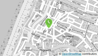 Bekijk kaart van Maestro Schilder in Zandvoort