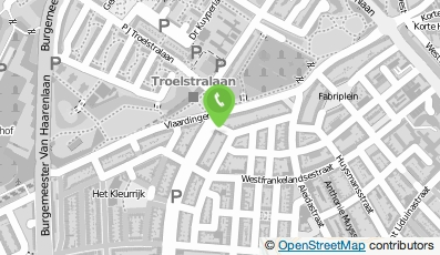 Bekijk kaart van Basriev Klusbedrijf in Schiedam