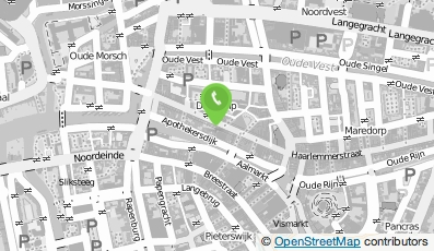 Bekijk kaart van Amelie consultancy in Leiden