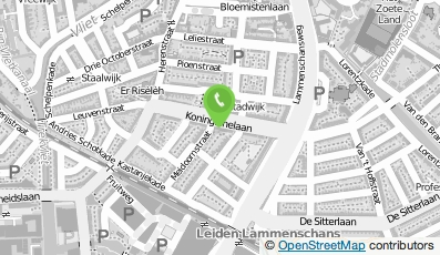 Bekijk kaart van Harroui Services in Leiden