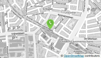 Bekijk kaart van Taxi Rozenburg Leiden in Leiden