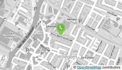 Bekijk kaart van miguelkooreman.nl in Hillegom
