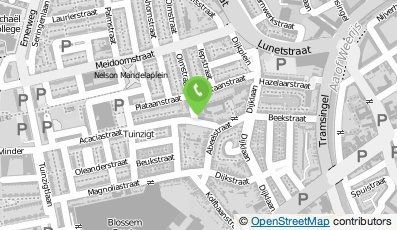 Bekijk kaart van Grillroom - Pizzeria - Asya in Breda